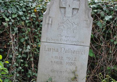 Hřbitov Hrozová, Omnium, 2017