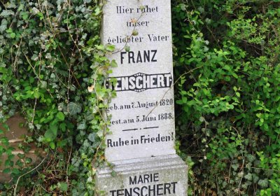 Hřbitov Hrozová, Omnium, 2017