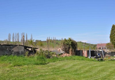 Hřbitov Janov u Krnova, Omnium, 2017