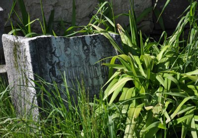 Hřbitov Janov u Krnova, Omnium, 2017