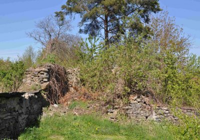 Hřbitov Janov u Krnova, Omnium, 2017
