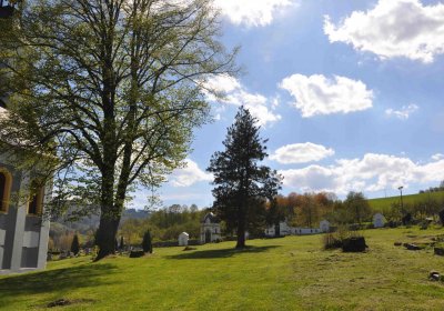 Hřbitov Janov u Krnova, Omnium, 2017