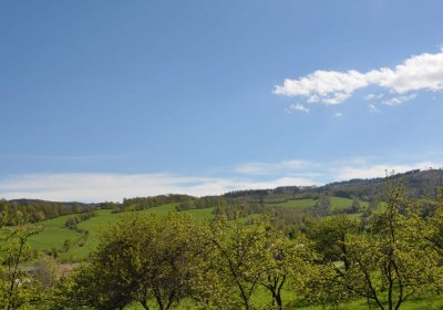 Hřbitov Janov u Krnova, Omnium, 2017