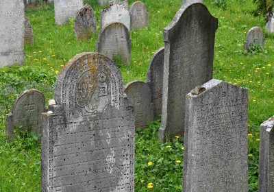 Židovský hřbitov Osoblaha, Omnium, 2017