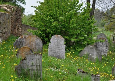 Židovský hřbitov Osoblaha, Omnium, 2017