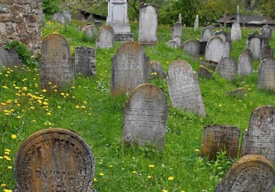 Židovský hřbitov Osoblaha, Omnium, 2017