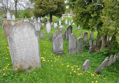 Židovský hřbitov Osoblaha, Omnium, 2017