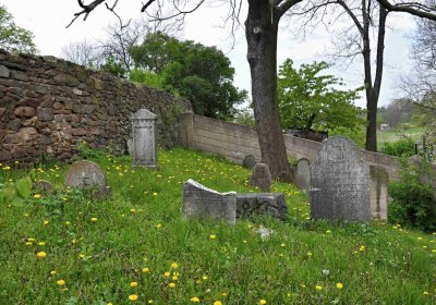 Židovský hřbitov Osoblaha, Omnium, 2017