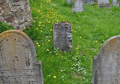 Židovský hřbitov Osoblaha, Omnium, 2017