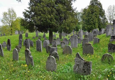 Židovský hřbitov Osoblaha, Omnium, 2017