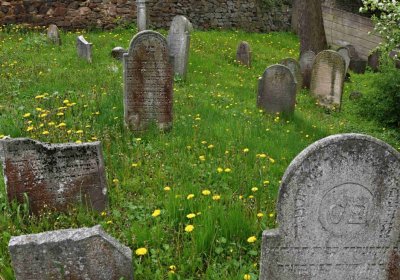 Židovský hřbitov Osoblaha, Omnium, 2017