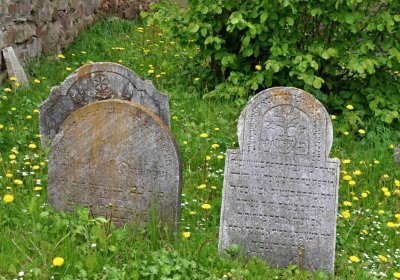 Židovský hřbitov Osoblaha, Omnium, 2017