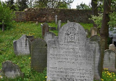 Židovský hřbitov Osoblaha, Omnium, 2017