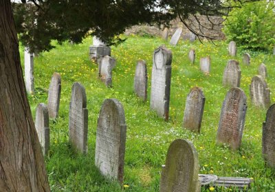 Židovský hřbitov Osoblaha, Omnium, 2017