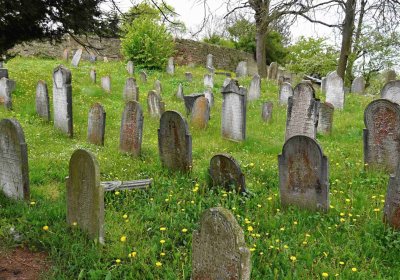 Židovský hřbitov Osoblaha, Omnium, 2017