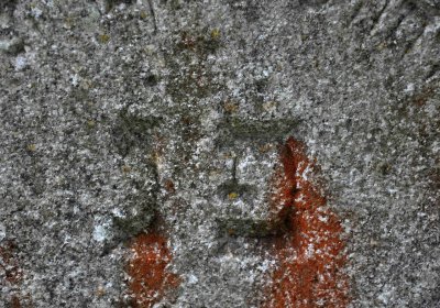 Židovský hřbitov Osoblaha, Omnium, 2017