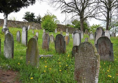 Židovský hřbitov Osoblaha, Omnium, 2017