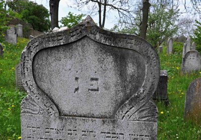 Židovský hřbitov Osoblaha, Omnium, 2017