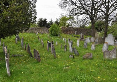 Židovský hřbitov Osoblaha, Omnium, 2017