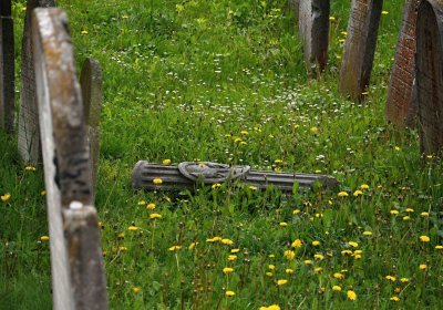 Židovský hřbitov Osoblaha, Omnium, 2017