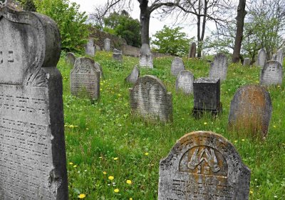 Židovský hřbitov Osoblaha, Omnium, 2017