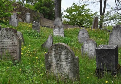 Židovský hřbitov Osoblaha, Omnium, 2017