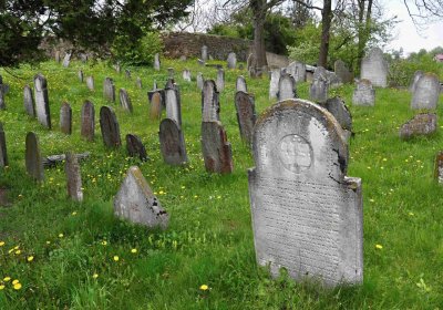 Židovský hřbitov Osoblaha, Omnium, 2017