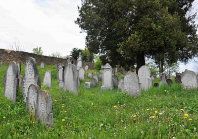 Židovský hřbitov Osoblaha, Omnium, 2017