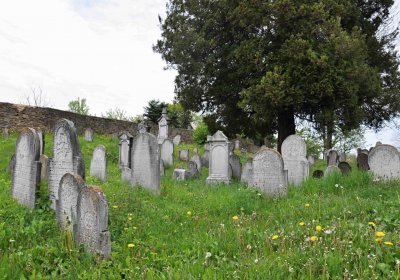 Židovský hřbitov Osoblaha, Omnium, 2017