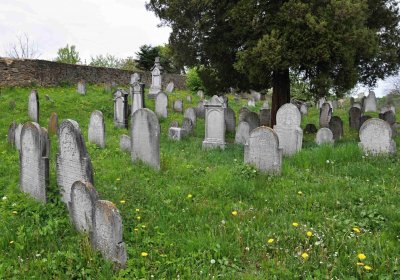 Židovský hřbitov Osoblaha, Omnium, 2017