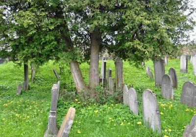 Židovský hřbitov Osoblaha, Omnium, 2017