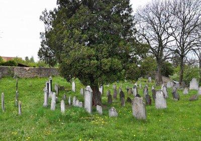 Židovský hřbitov Osoblaha, Omnium, 2017