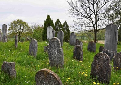 Židovský hřbitov Osoblaha, Omnium, 2017