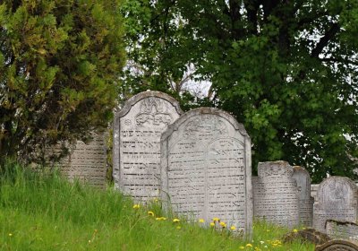 Židovský hřbitov Osoblaha, Omnium, 2017