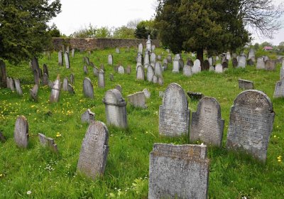 Židovský hřbitov Osoblaha, Omnium, 2017