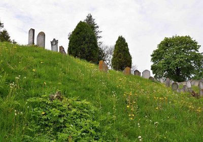 Židovský hřbitov Osoblaha, Omnium, 2017