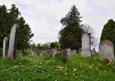 Židovský hřbitov Osoblaha, Omnium, 2017