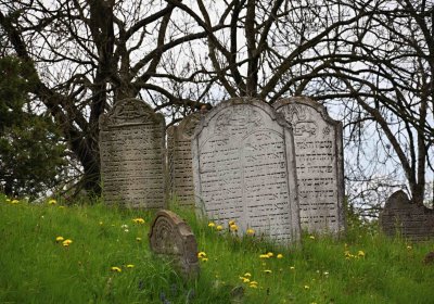 Židovský hřbitov Osoblaha, Omnium, 2017