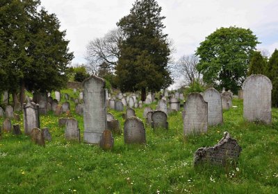 Židovský hřbitov Osoblaha, Omnium, 2017