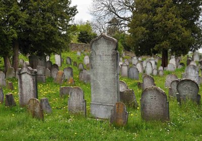 Židovský hřbitov Osoblaha, Omnium, 2017