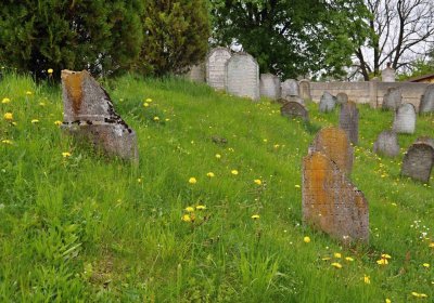 Židovský hřbitov Osoblaha, Omnium, 2017