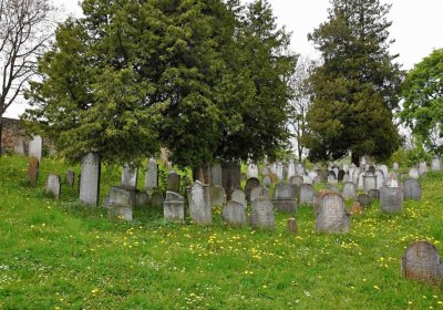 Židovský hřbitov Osoblaha, Omnium, 2017