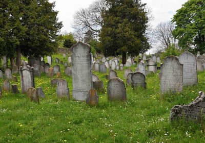 Židovský hřbitov Osoblaha, Omnium, 2017