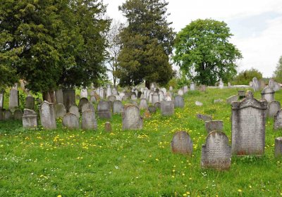 Židovský hřbitov Osoblaha, Omnium, 2017