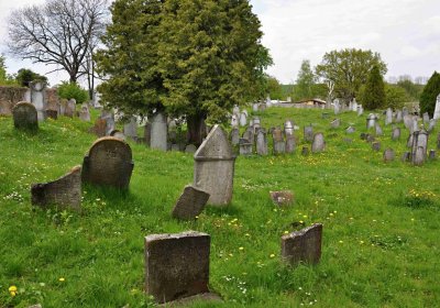 Židovský hřbitov Osoblaha, Omnium, 2017