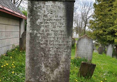 Židovský hřbitov Osoblaha, Omnium, 2017