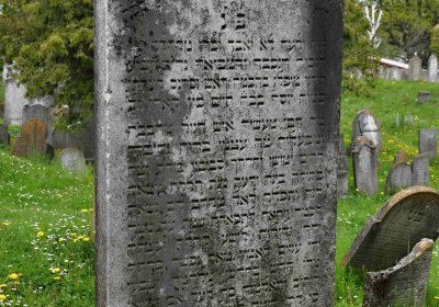 Židovský hřbitov Osoblaha, Omnium, 2017