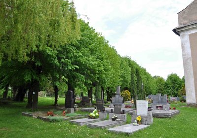 Hřbitov Osoblaha, Omnim, 2017