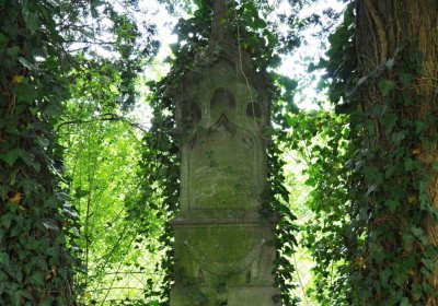 Hřbitov Osoblaha, Omnim, 2017