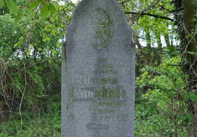 Hřbitov Osoblaha, Omnim, 2017